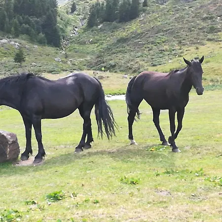 Joli En Ariege Avec Piscine Privee بيت للعطل Garanou