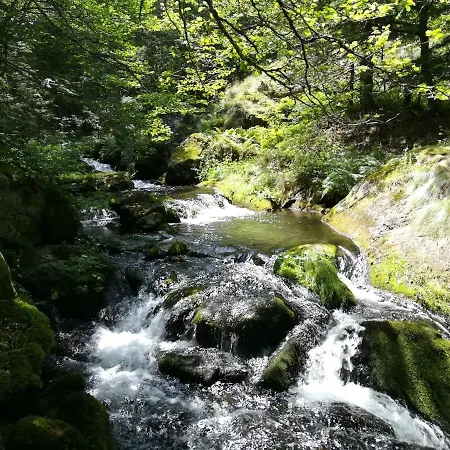 Dom wakacyjny Joli En Ariege Avec Piscine Privee *